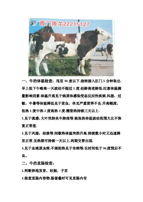 牛的直肠检查