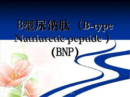 B型钠尿肽临床意义