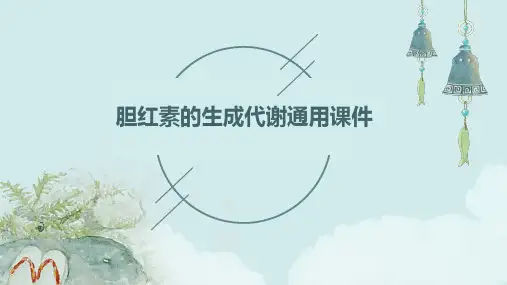 胆红素的生成代谢通用课件