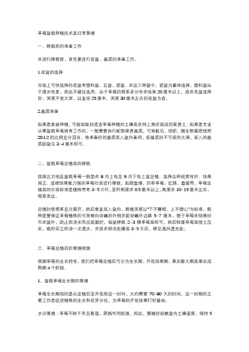 草莓盆栽种植技术及日常管理