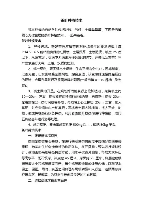 茶叶种植技术