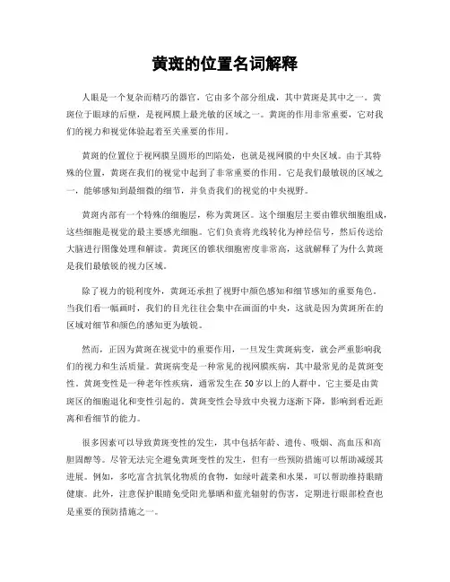 黄斑的位置名词解释