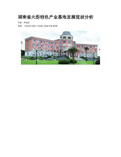 湖南省火炬特色产业基地发展现状分析
