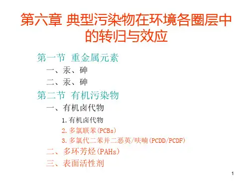 典型污染物在环境各圈层中的转归与效应精品PPT课件