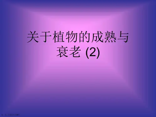 植物的成熟与衰老 (2)精选课件