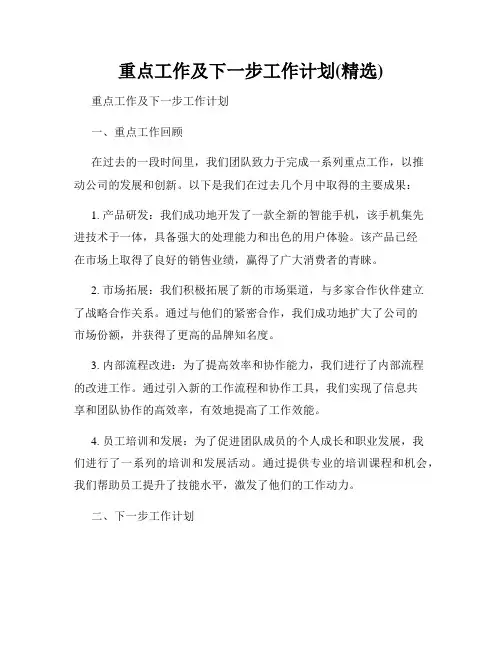 重点工作及下一步工作计划(精选)