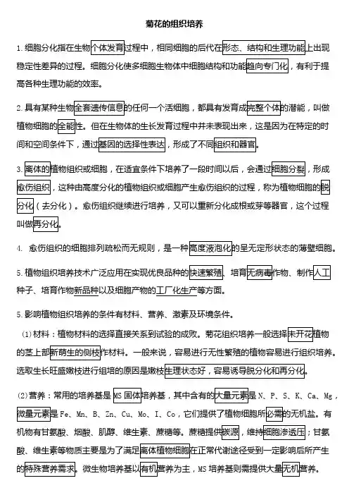 菊花,月季花组织培养总结