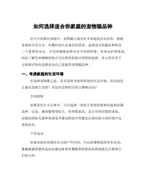 如何选择适合你家庭的宠物猫品种