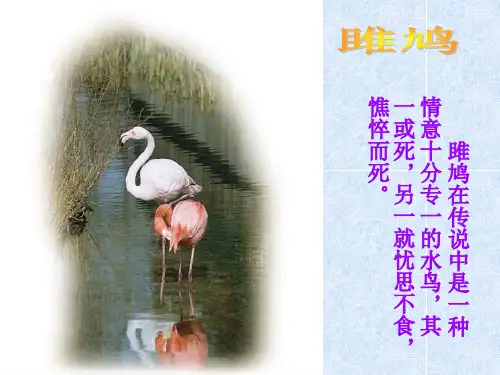 诗经两首《关雎》课件.ppt