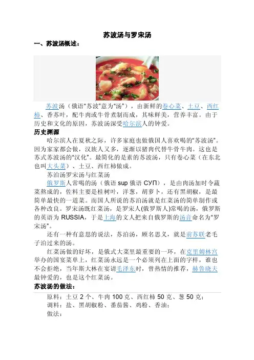 苏波汤与罗宋汤（1）