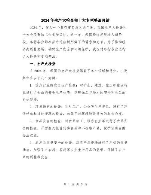 2024年生产大检查和十大专项整治总结