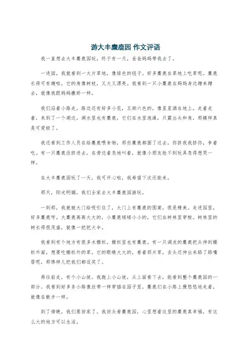 游大丰麋鹿园 作文评语
