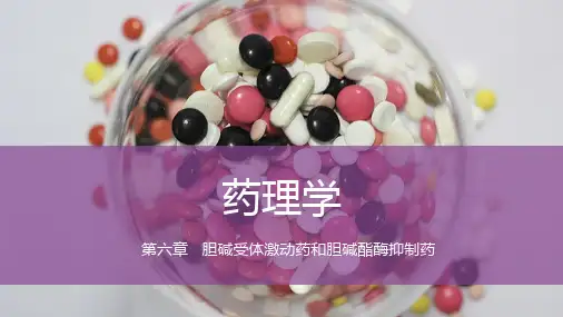 《药理学》第6章-胆碱受体激动药和胆碱酯酶抑制药