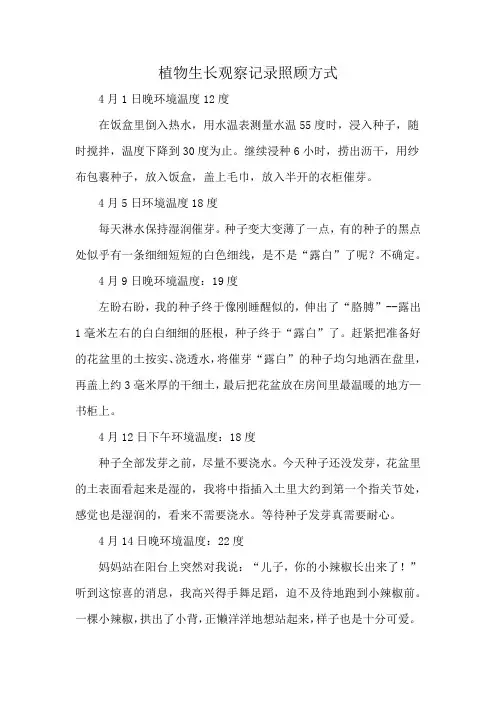 植物生长观察记录照顾方式