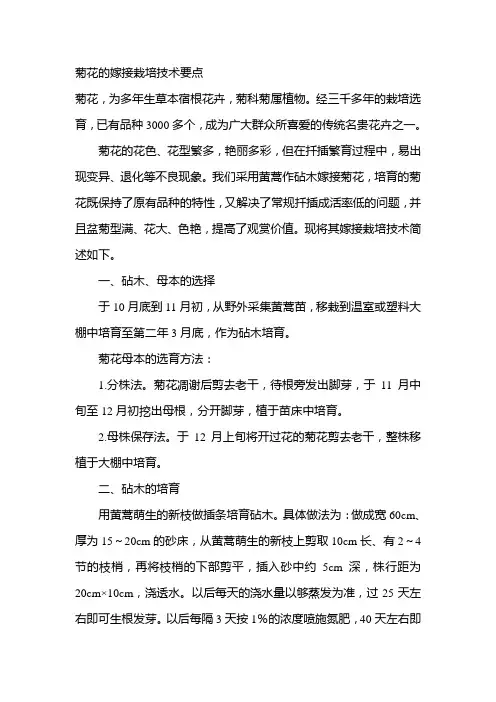 菊花的嫁接栽培技术要点