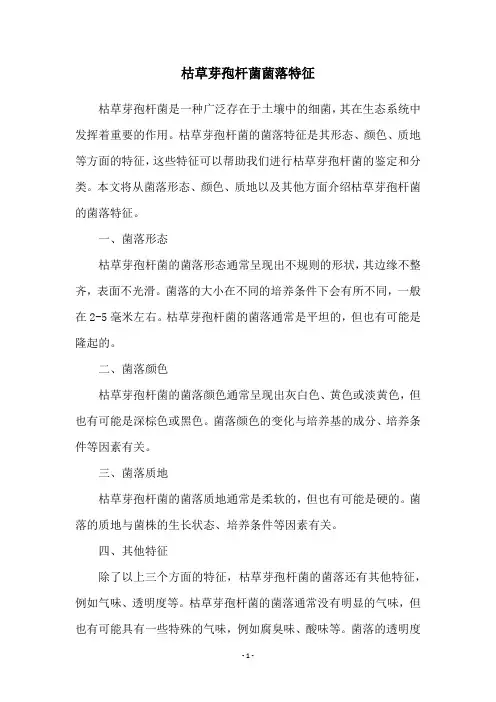 枯草芽孢杆菌菌落特征
