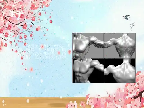 人体动态解剖 美术 漫画 3D 素描必学优秀PPT