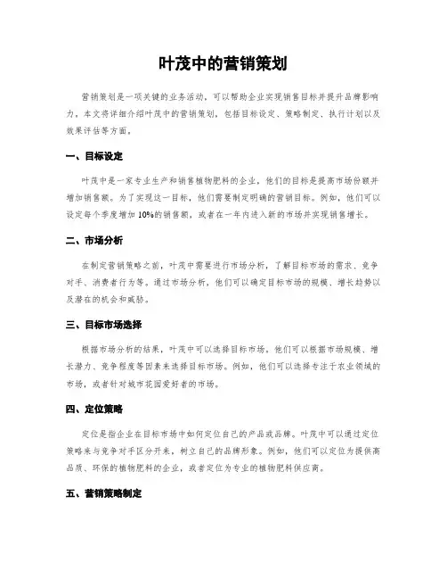 叶茂中的营销策划