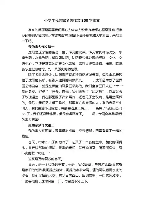 小学生我的家乡的作文300字作文