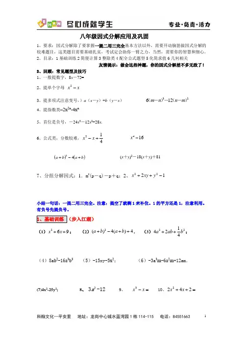 因式分解超经典讲解及培优