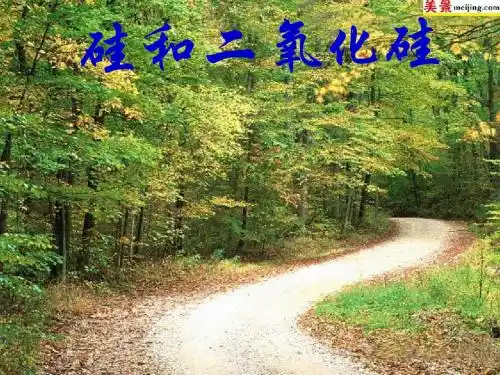 化学课件《硅和二氧化硅》优秀ppt2 人教课标版