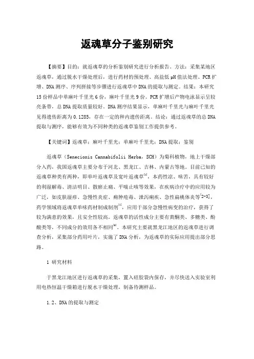 返魂草分子鉴别研究