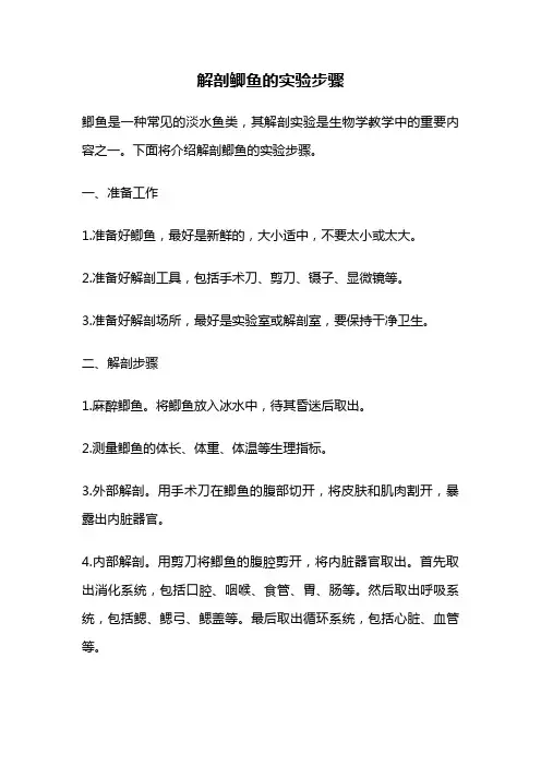 解剖鲫鱼的实验步骤