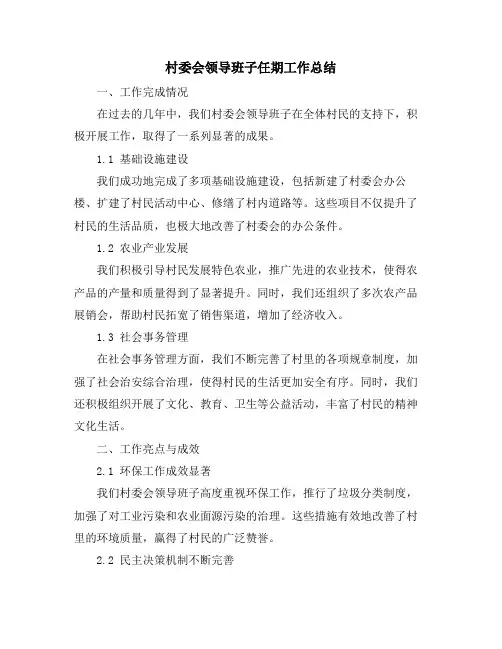 村委会领导班子任期工作总结
