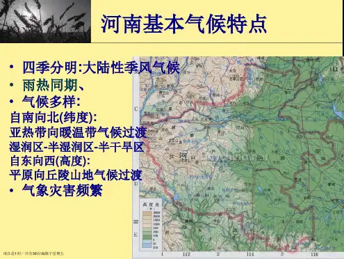 根类药材地黄、牛膝