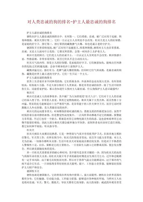 对人类忠诚的狗的排名-护主人最忠诚的狗排名