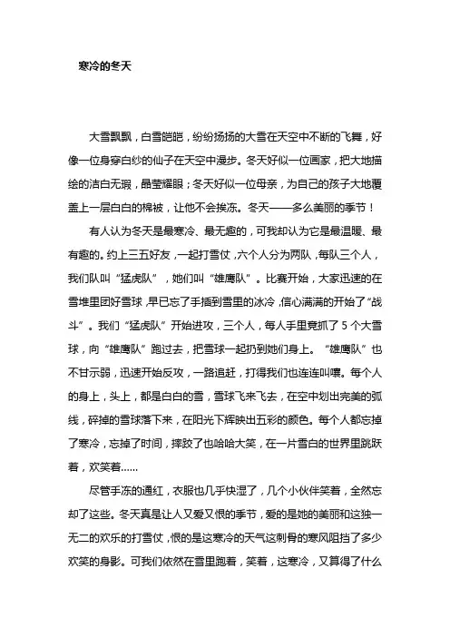 寒冷的冬天(初中作文)