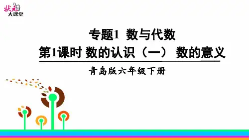 第1课时  数的认识(一)数的意义