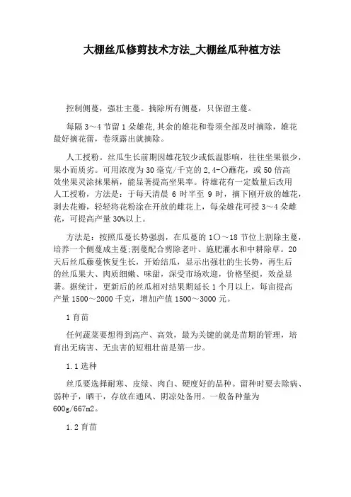 大棚丝瓜种植方法