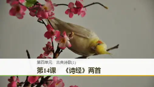 粤教版2018-2019学年高中语文必修1课件：4.14 《诗经》两首(共54张PPT)