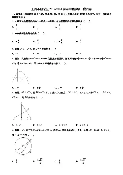 上海市普陀区2019-2020学年中考数学一模试卷含解析