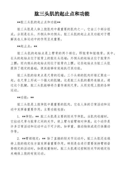 肱三头肌的起止点和功能