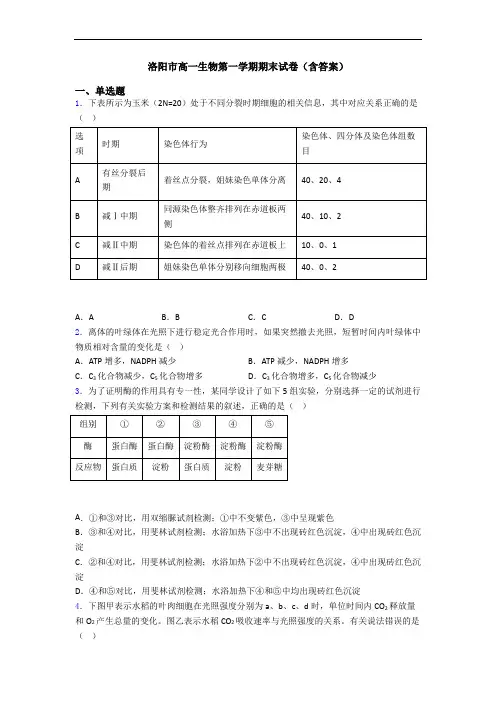 洛阳市高一生物第一学期期末试卷(含答案)