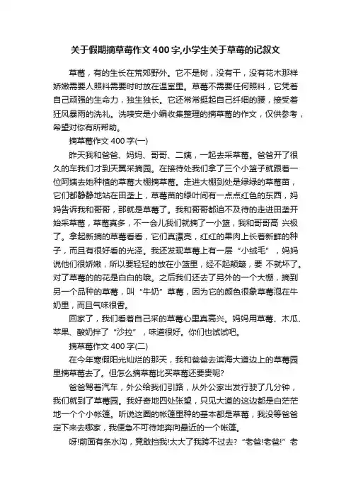 关于假期摘草莓作文400字,小学生关于草莓的记叙文