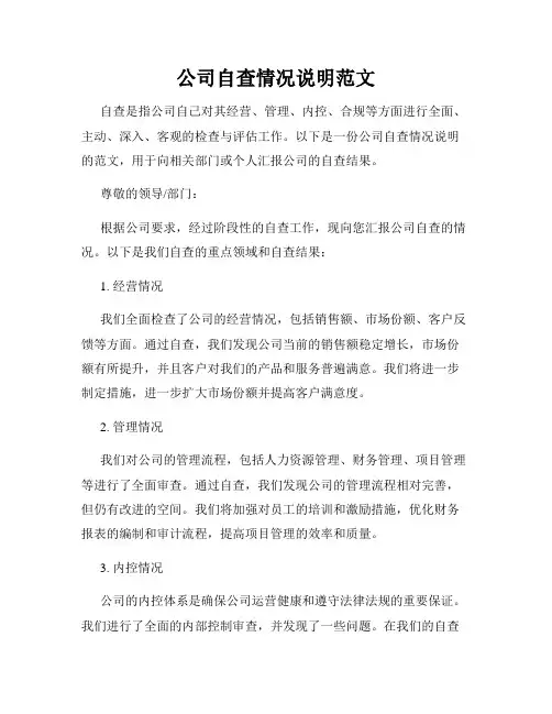 公司自查情况说明范文