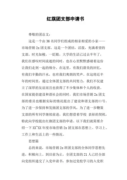 红旗团支部申请书(篇二)