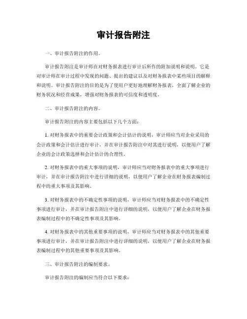 审计报告附注