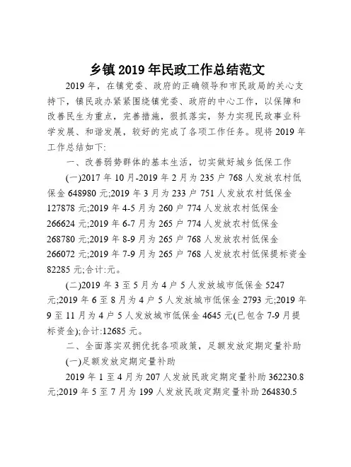 乡镇2019年民政工作总结范文【模板】