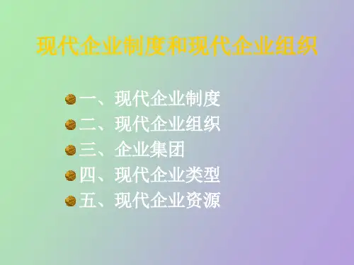现代企业制度现代企业组织