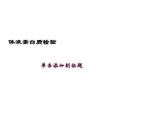 体液蛋白质检验