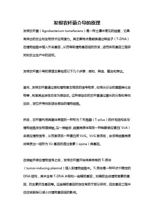 发根农杆菌介导的原理