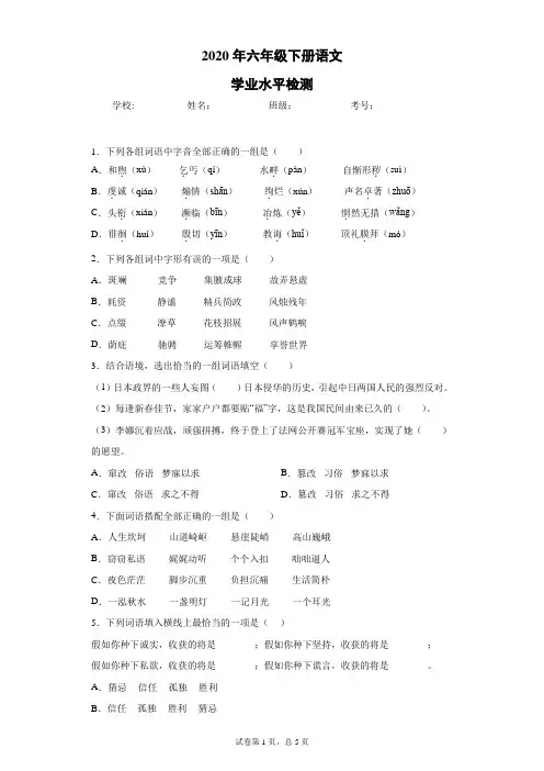 2020年六年级下册语文学业水平检测试卷  (12)