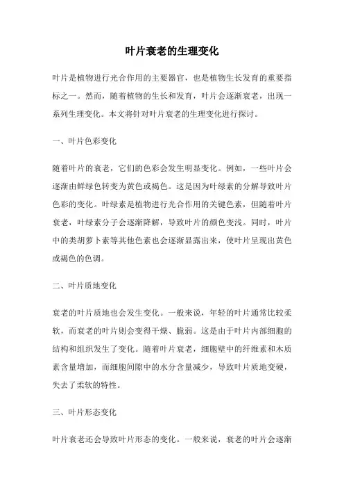 叶片衰老的生理变化