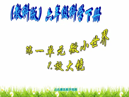 最新科教版小学六年级科学下册《放大镜(一)》精品课件