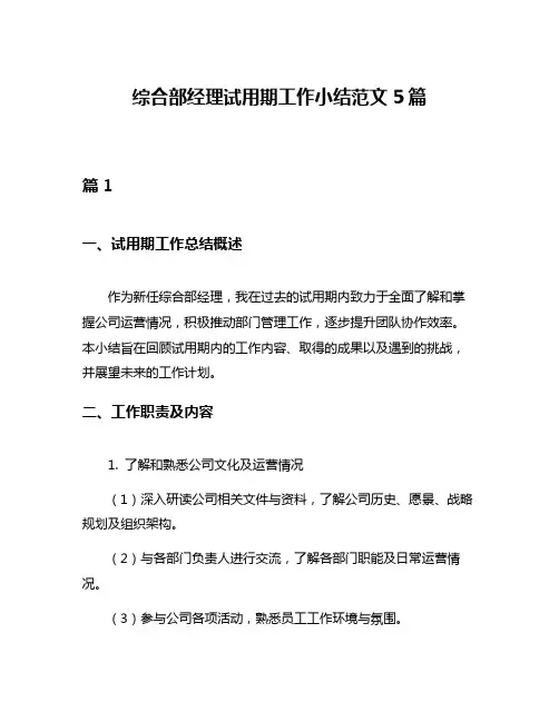 综合部经理试用期工作小结范文5篇
