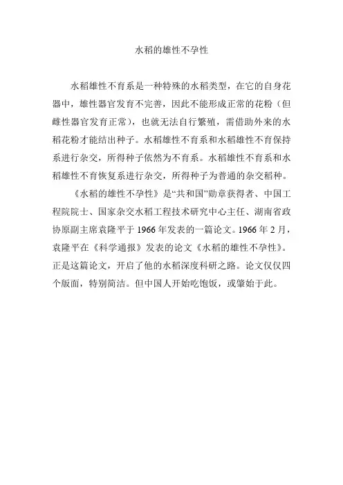 水稻的雄性不孕性